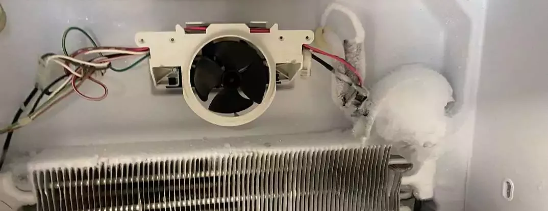 refrigerator fan