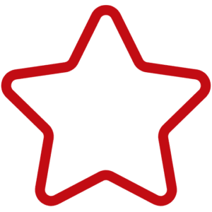 5 star service