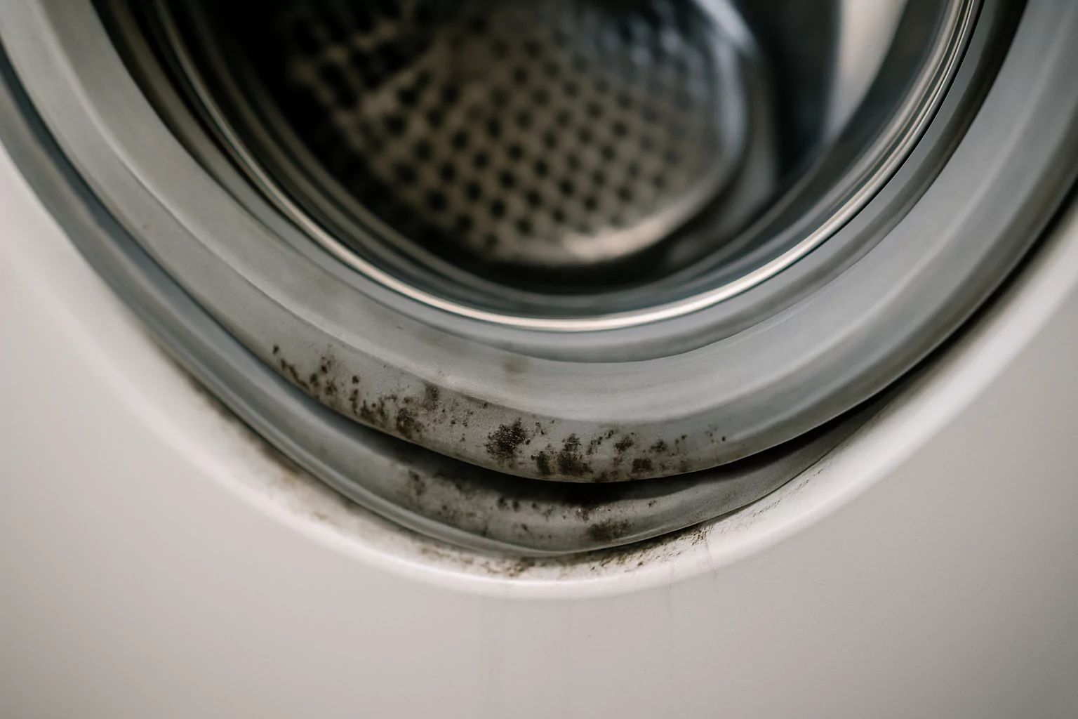 mold in washing machine gasket