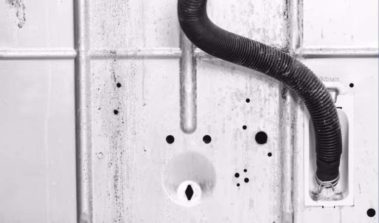 drain hose of washing machine