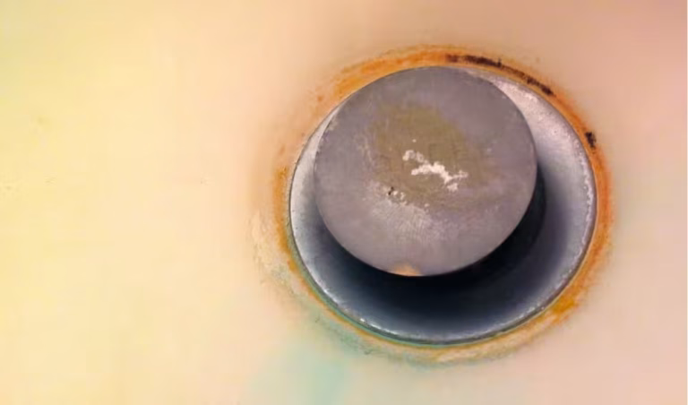 bacteria serratia marscescens